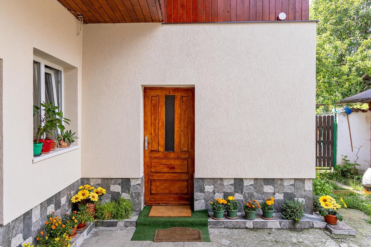 Pensiunea Montan Buşteni Esterno foto