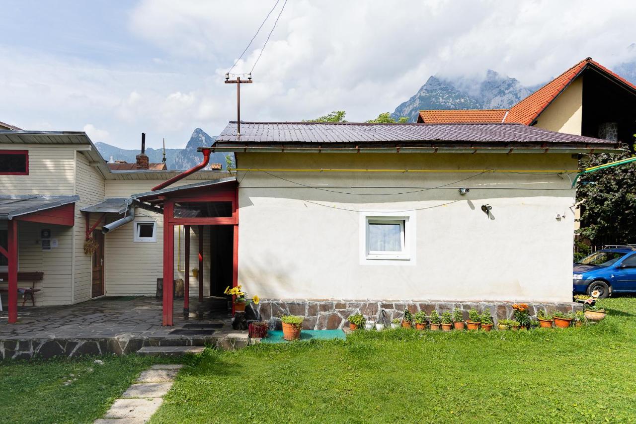 Pensiunea Montan Buşteni Esterno foto
