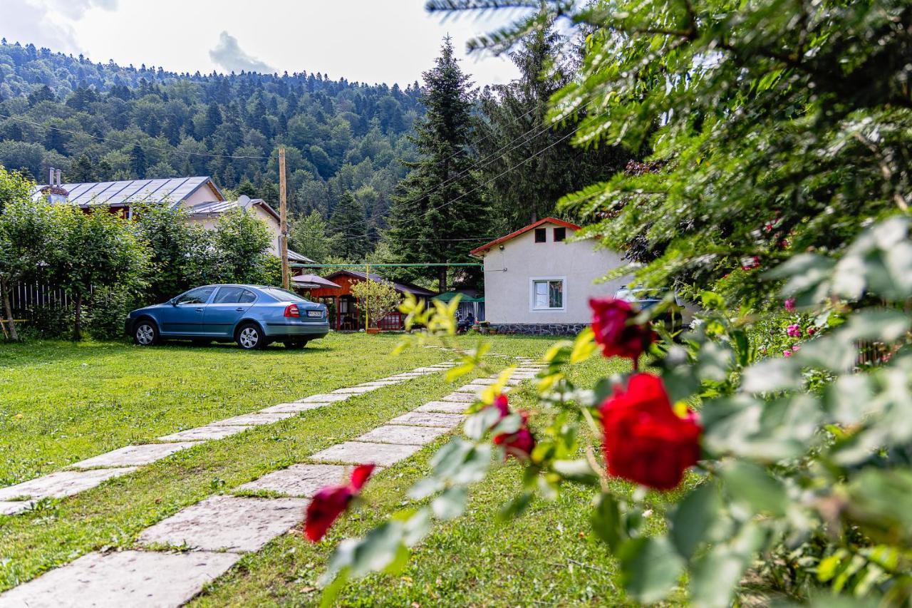 Pensiunea Montan Buşteni Esterno foto