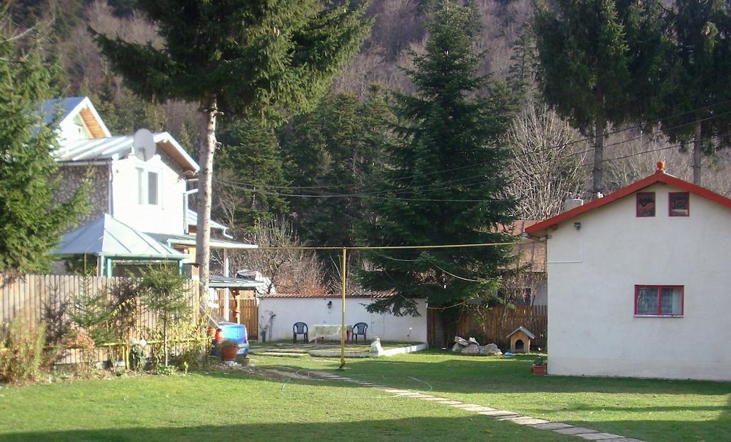 Pensiunea Montan Buşteni Esterno foto
